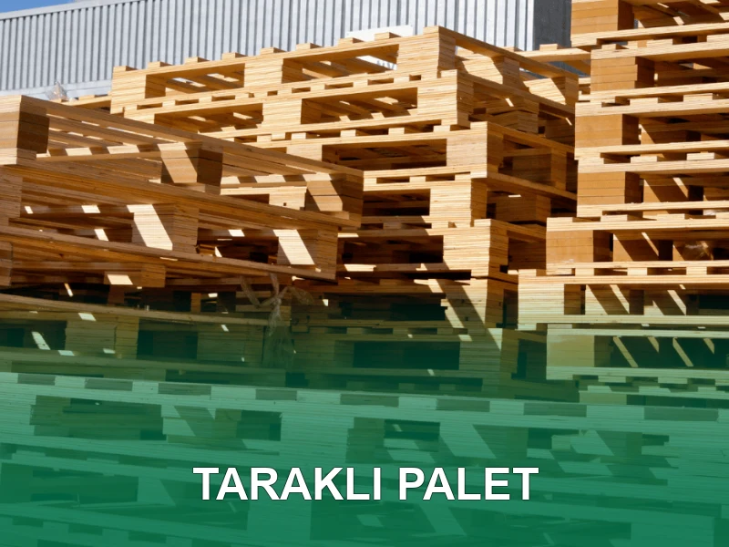 Taraklı Palet Galeri 1