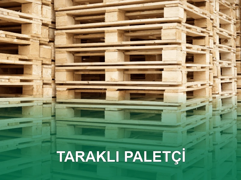 Taraklı Palet Galeri 2