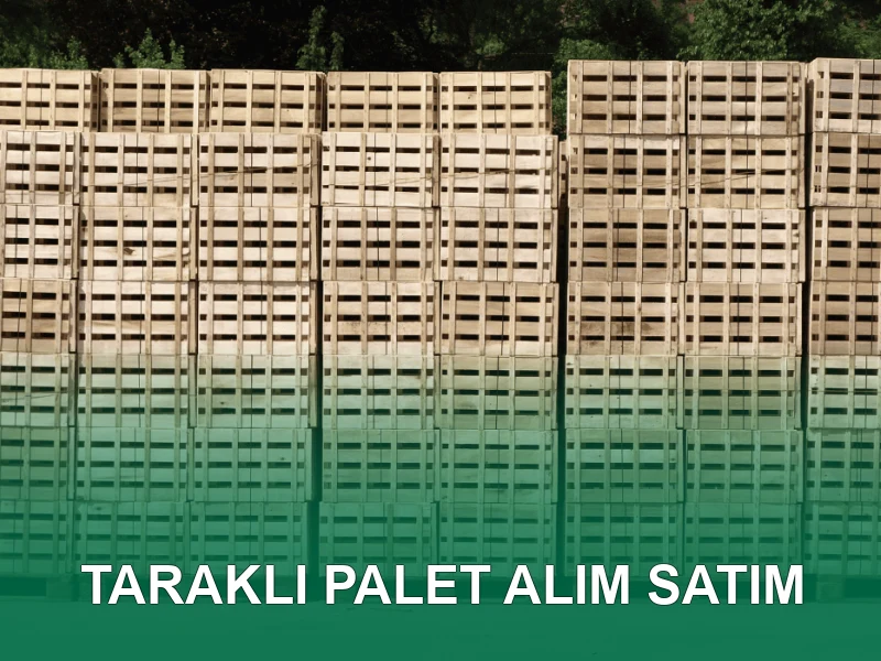 Taraklı Palet Galeri 3