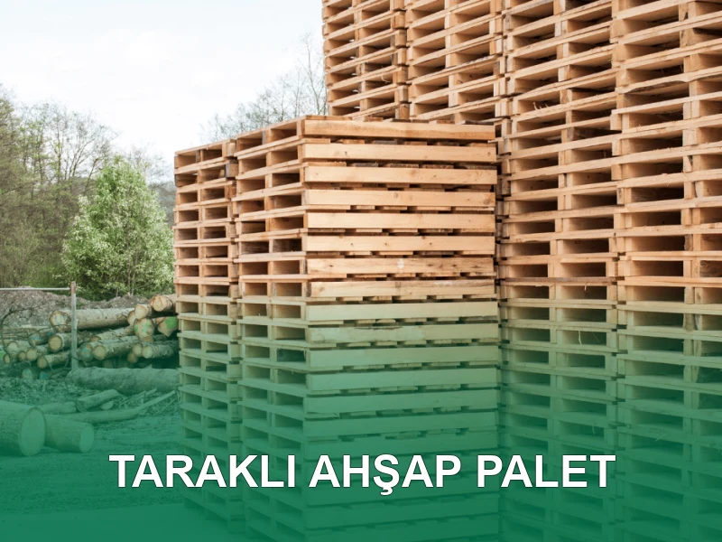 Taraklı Palet Galeri 4
