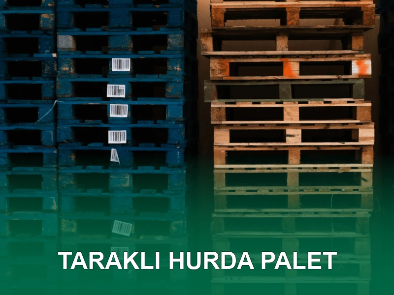 Taraklı Palet Galeri 5