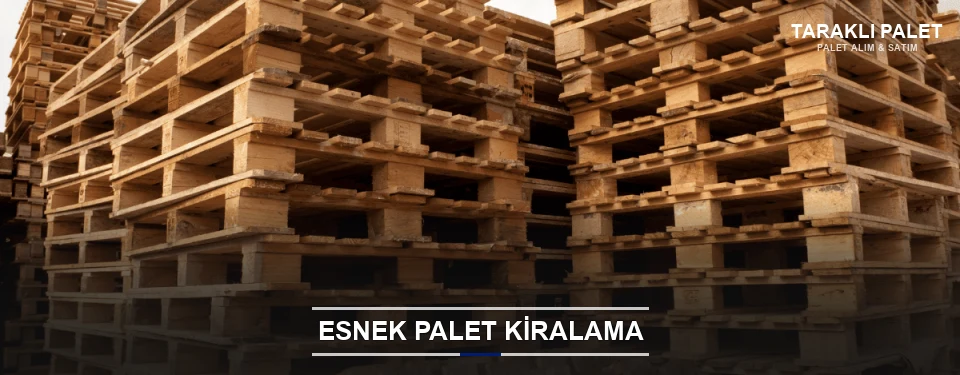 Taraklı Uygun Fiyatlı Palet Kiralama